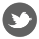 doporučuji logo - Twitter