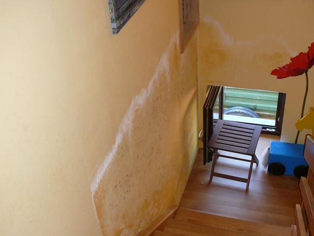 obr�zek - dezinfekce