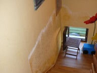 obr�zek pl�sn�